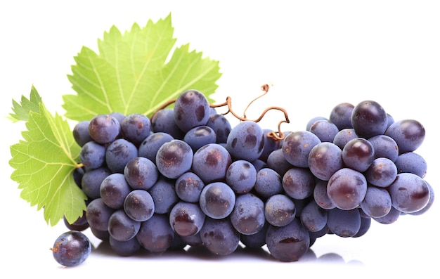 Grapes on a white background