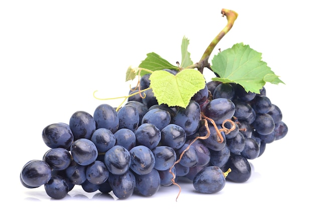 Grapes on a white background