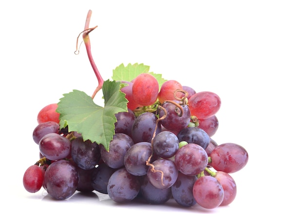 Grapes on a white background