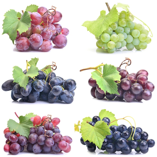 Premium Photo | Grapes on a white background