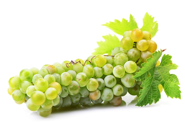 Grapes on a white background