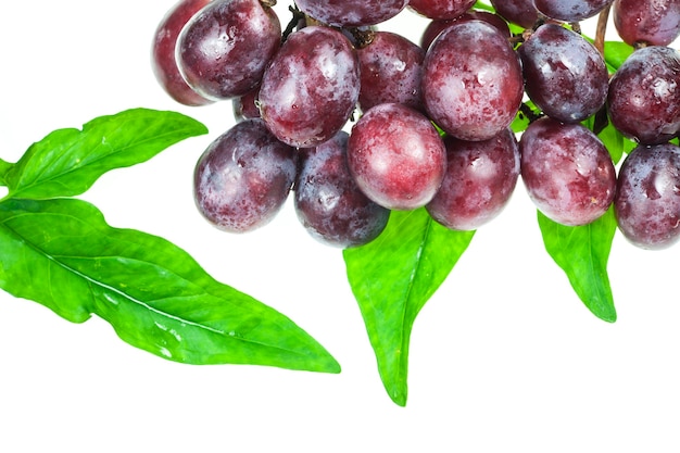 Grapes on white background.