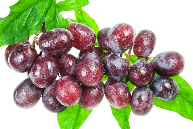 Grapes on white background.