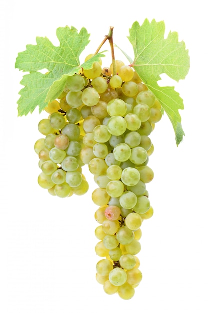 Grapes on a white