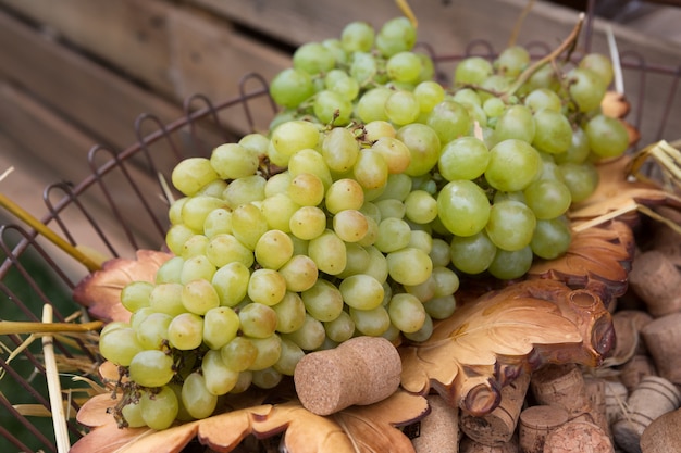 Grapes on wine corks in a basket