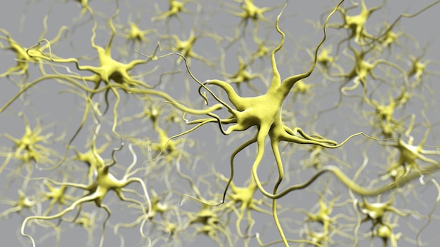 脳内のニューロンのグラフィックで、上部に「neuron」という単語が表示されます。