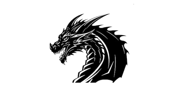 Photo graphic silhouette of black dragon isolated on white background vector illustration