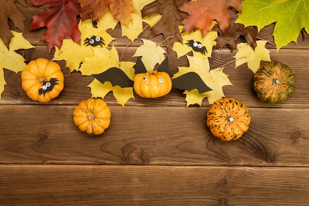 Grappig pompoenambacht in de vorm van een vleermuis. Halloween-decor met je handen