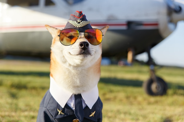 Foto grappige close-up foto van lachende shiba inu-hond in een pilotenpak in de buurt van een vliegtuig