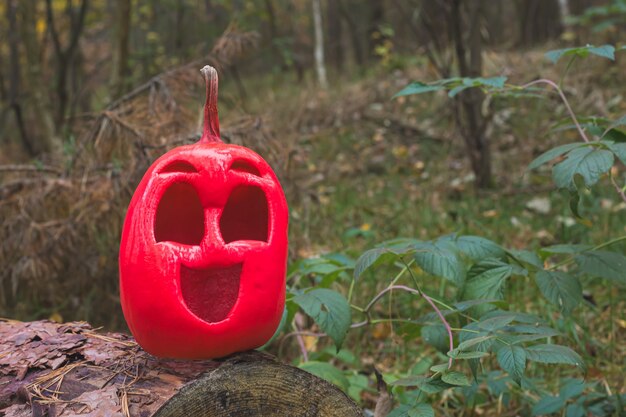 Grappige en vriendelijke halloween-pompoen van roze kleur in het herfstbos op een gekapte boomstam