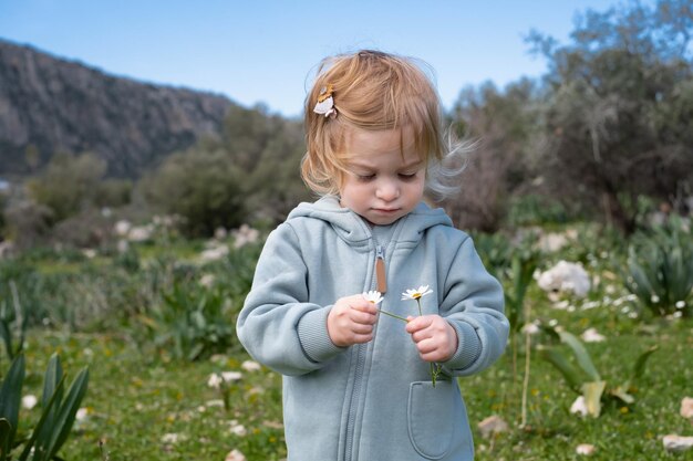 Grappige ernstige schattige schattige blonde baby meisje peuter in groen veld van madeliefje camomiles bloemen verzamelen Nieuwsgierig kind kind baby leeromgevingnatuurberg in de lente of zomer