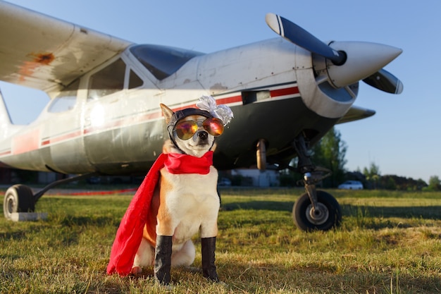 Grappige foto van de Shiba Inu-hond in een pilotenpak op de luchthaven