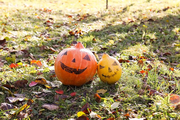 Grappige Halloween-pompoen met eng gezicht in herfstbladeren in de herfsttuin op het platteland