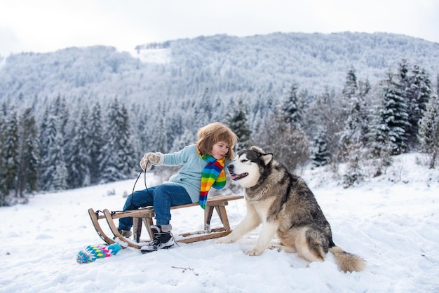 Grappige jongen met hond die plezier heeft met een slee in het bos van de winter, tedere schattige hond kinderen huisdier liefde