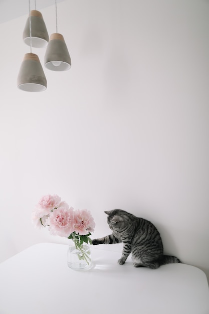 Grappige kat en een vaas met bloemen op een tafel in lichte kamer