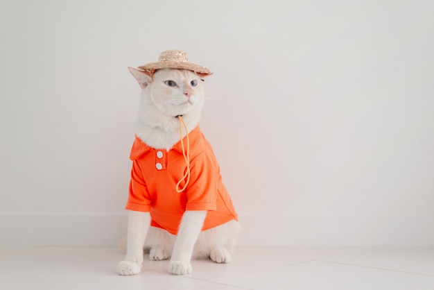 Grappige kat gaande op vakantie, dragen strand shirt en hoed in zomer concept.