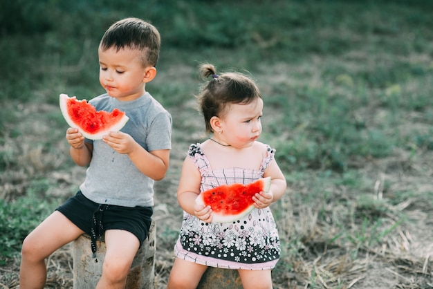 Grappige kinderen eten watermeloen. Broer en zus in de open lucht, zittend op de stronken