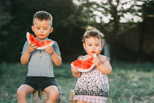 Grappige kinderen eten watermeloen. Broer en zus in de open lucht, zittend op de stronken