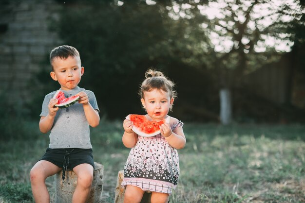 Grappige kinderen eten watermeloen. Broer en zus in de open lucht, zittend op de stronken