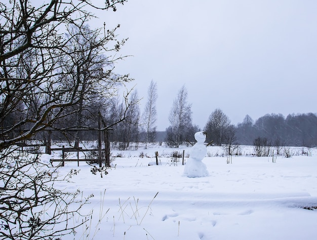 Grappige sneeuwpop gemaakt door kinderen op besneeuwd landelijk veld