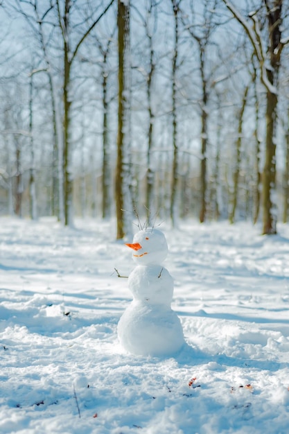 Grappige sneeuwpop in park Actieve vrije tijd in de buitenlucht met gezin met kinderen in de winter