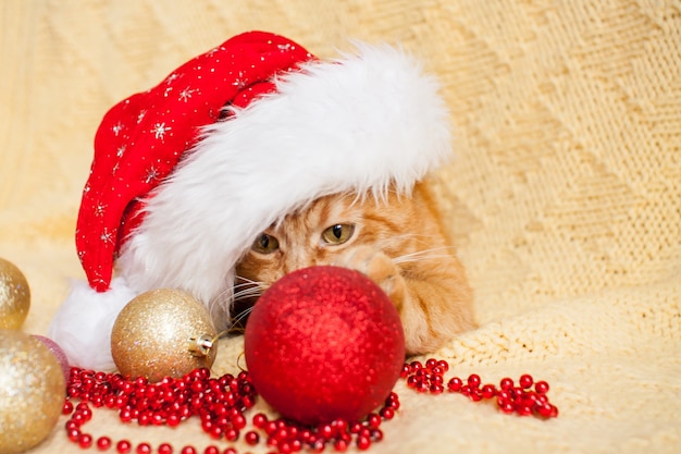 Grappige vette gember kat in kerstman kerstmuts ligt op een gele deken omgeven door new year's