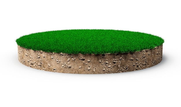 Gras cirkel geïsoleerde 3D illustratie ronde bodem grond doorsnede met aarde land groen gras