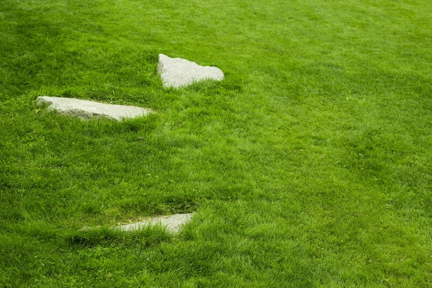 Gras en 3 stenen kopiëren ruimte.