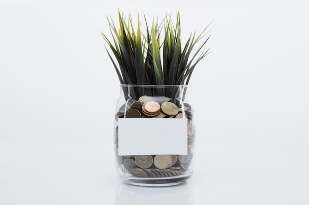 Gras groeit uit munten in een glazen bank. Besparingen concept