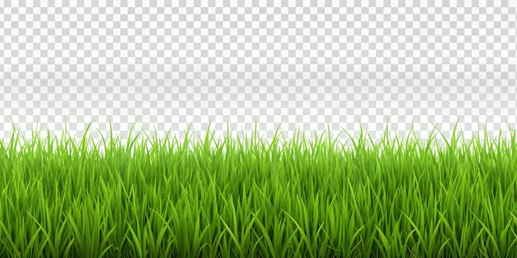 Foto gras op een doorzichtige achtergrond met een doorzichte achtergrond