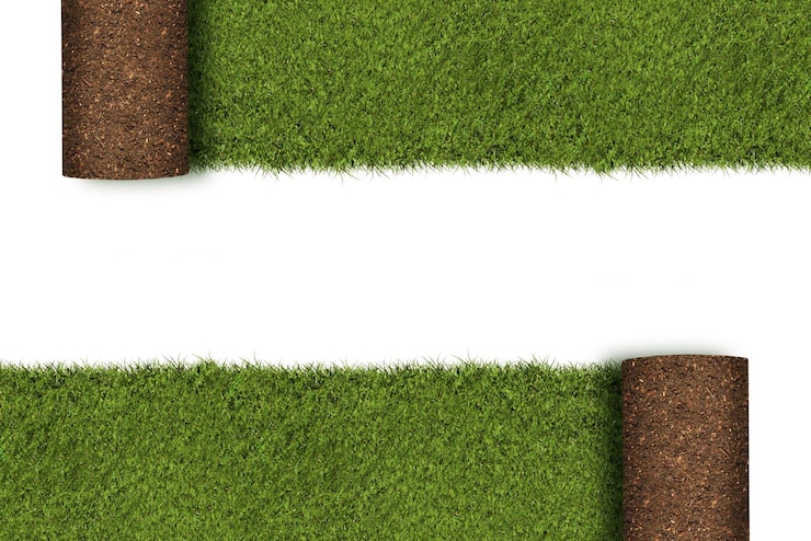 Foto gras op wit