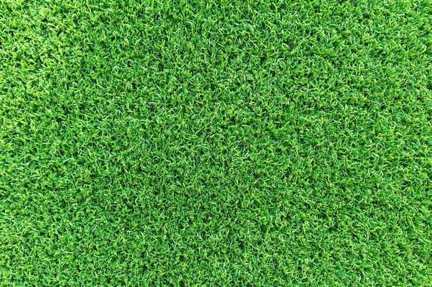 Gras textuur achtergrond voor golfbaan