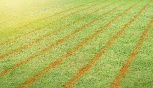 Grasbaan voor hardlopen met vervaging bij hardlopers in sportevenement