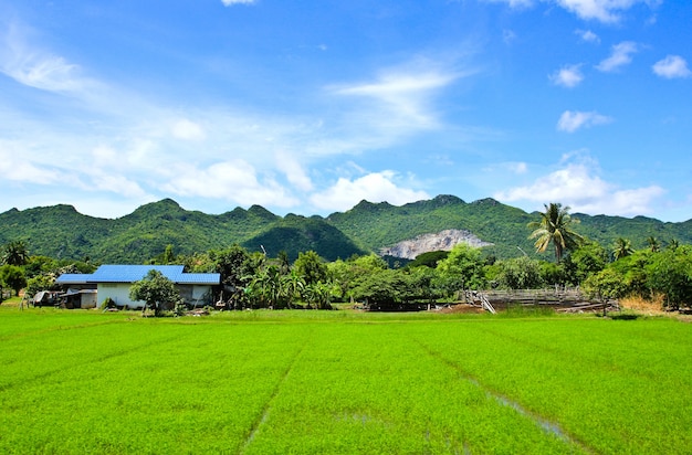 Grasheuvel en blauwe hemel, thailand