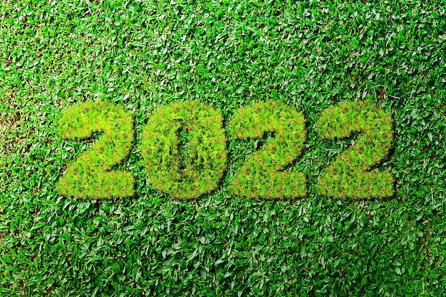 Grass of 2022. Happy New Year 2022