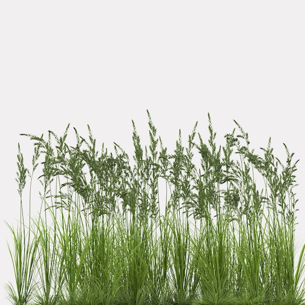 Photo grass. 3d illustration