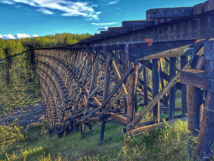 Фотография трава на небе