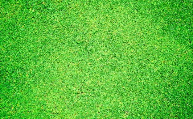 Трава фон Поля для гольфа зеленый газон узор текстурированный фон
