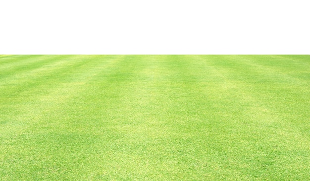 Photo grass background golf courses green lawn