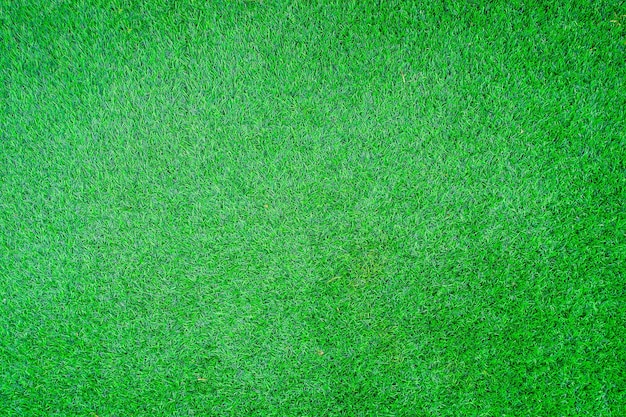 Grass background