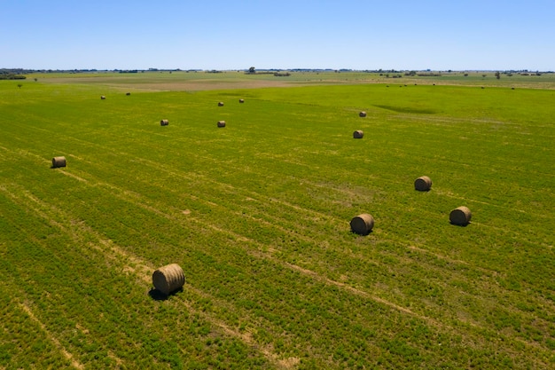 La Pampa 시골 PatagoniaArgentina의 잔디 베일 잔디 저장