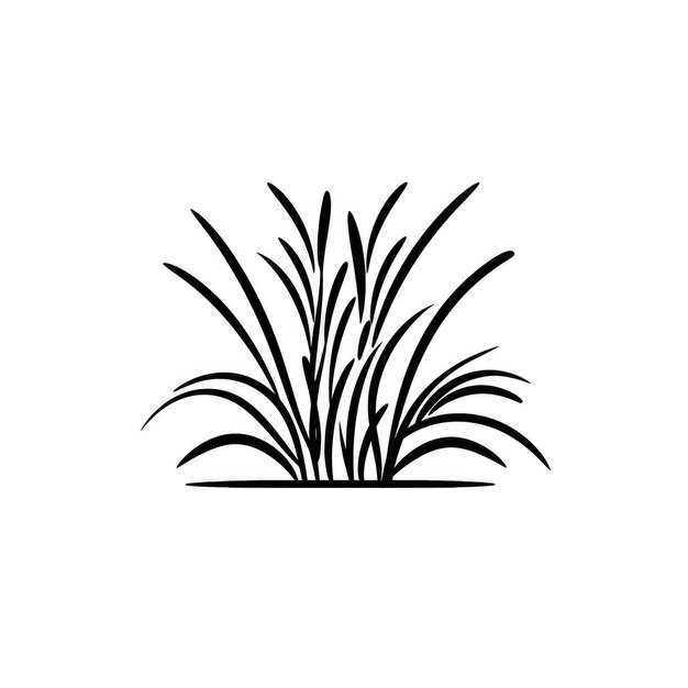 Photo grass black silhouette on white background vector illustration