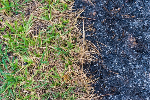 The grass caught fire, burning grass.