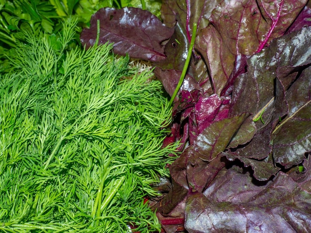 Grass on the counter Greens for cooking Sale of ingredients for lunch