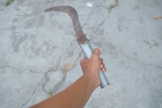 Grass cutter blade photo