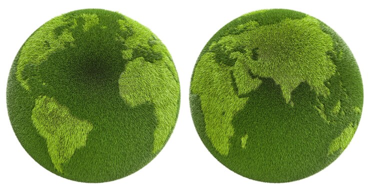 Photo grass earth globe two kinds 3d rendering