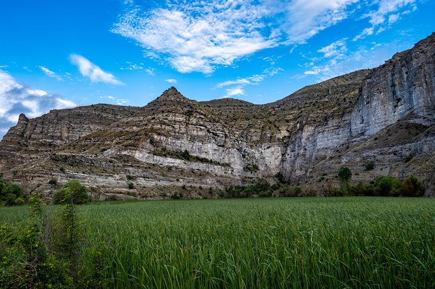 Campo in erba di rocce di alta montagna sotto il cielo blu a erzurum, turchia