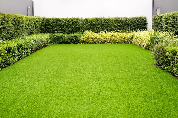 Prato verde del campo di erba sul fronte del giardino della casa