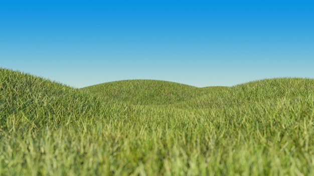 Foto campo in erba su piccole colline e cielo blu sfumato.