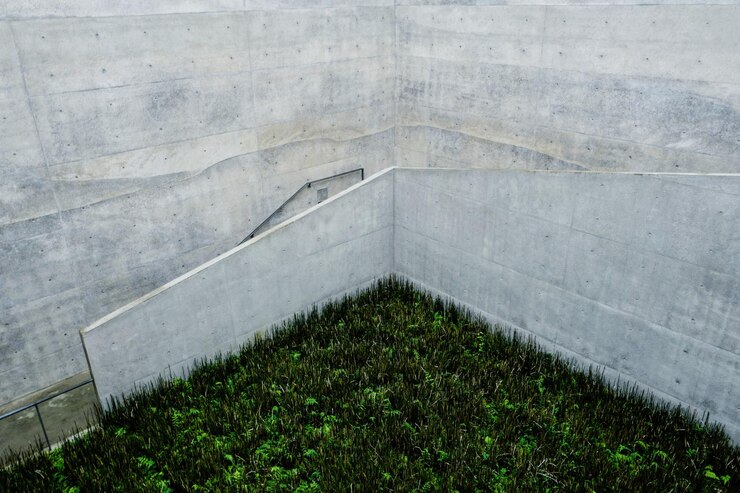 Photo 石の壁に草が育つ